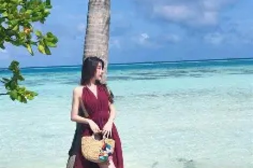 Firefox浏览器